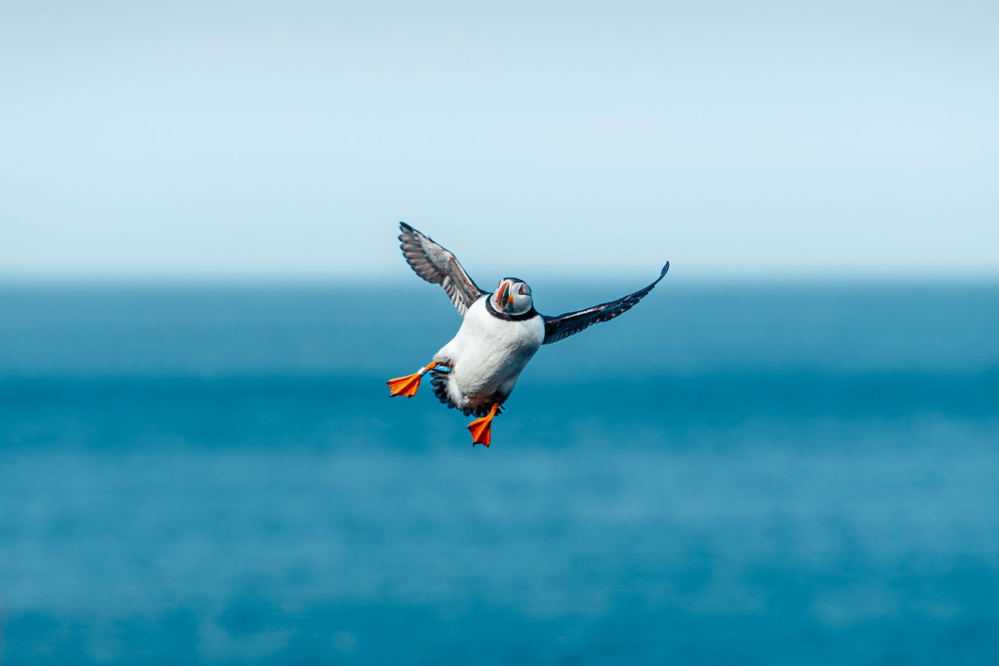 raul-ling-5dQOqnn683A-unsplash